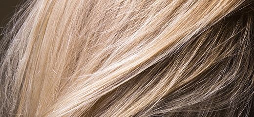 La-Biosthetique-Colorationen